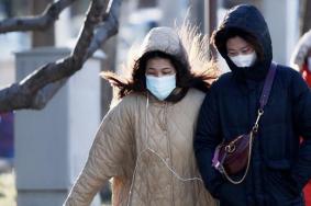 北京迎1996年以来最冷早晨 动物园猴子抱团取暖