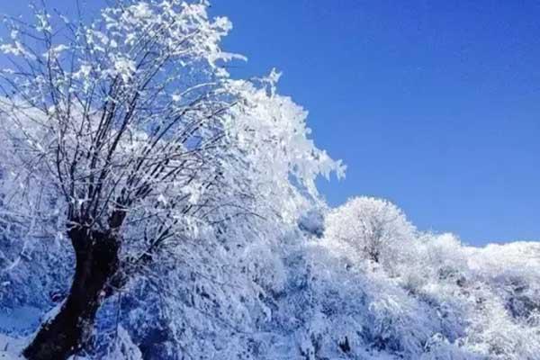 成都市民街頭賣雪 成都賞雪地點推薦