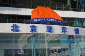 2021年北京海洋馆暂停开放通知