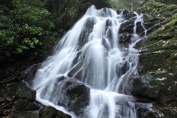 2022大岗山瀑布旅游攻略 - 门票 - 交通 - 地址