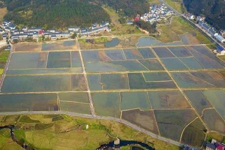 2022新余九龙山旅游攻略 - 门票 - 交通 - 地址