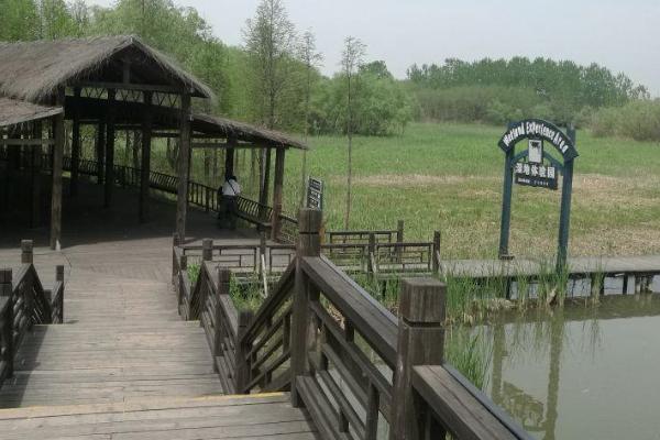 鹵陽湖國家濕地公園門票多少錢 鹵陽湖國家濕地公園簡介