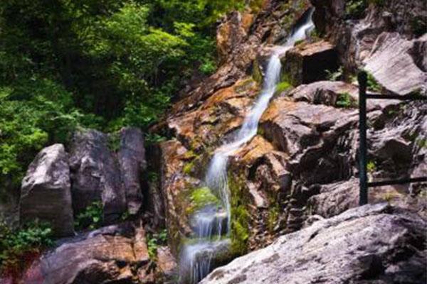 五岳寨风景区门票价格 五岳寨风景区海拔多杀米高