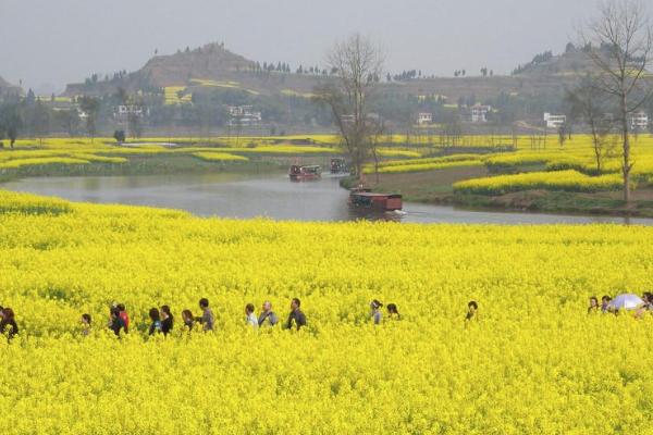 2021年潼南油菜花節(jié)攻略 潼南油菜花節(jié)時(shí)間-門票-交通