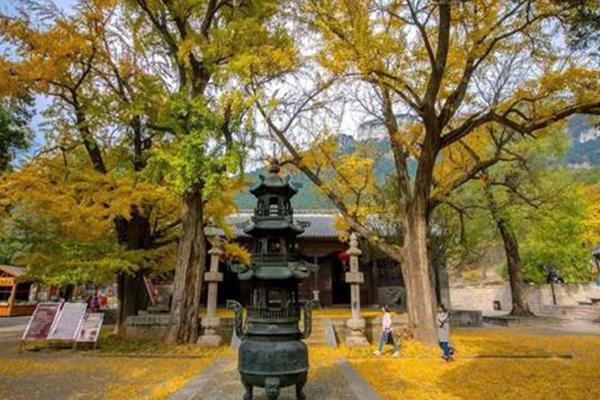 2021济北灵岩寺景面先容 济北灵岩寺门票