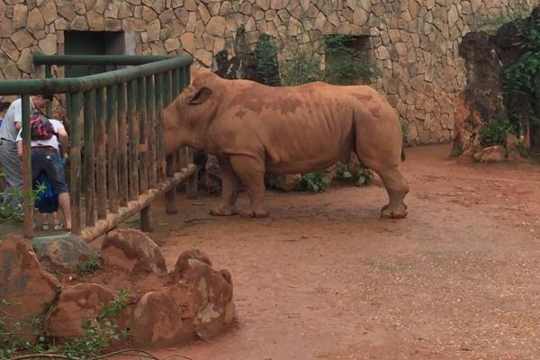 2021長沙生態動物園門票多少錢 長沙生態動物園游玩攻略