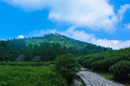 2022娑罗山森林公园门票 - 交通 - 地址 - 旅游攻略