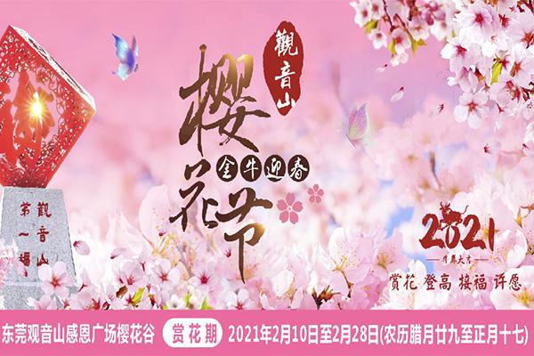 2021东莞樱花节活动 东莞哪里有樱花看