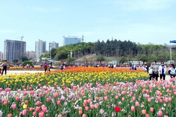 2021湖南省森林植物园门票多少钱一张 湖南省森林植物园开放时间-入园指南