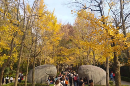 1月27日南京紫金山昆虫博物馆免费开放 春节南京景区要预约吗
