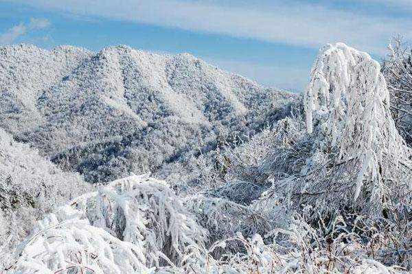 2021春节重庆周边赏雪地点推荐