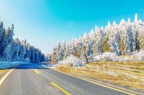 2021重庆春节赏雪好去处 重庆赏雪的好地方