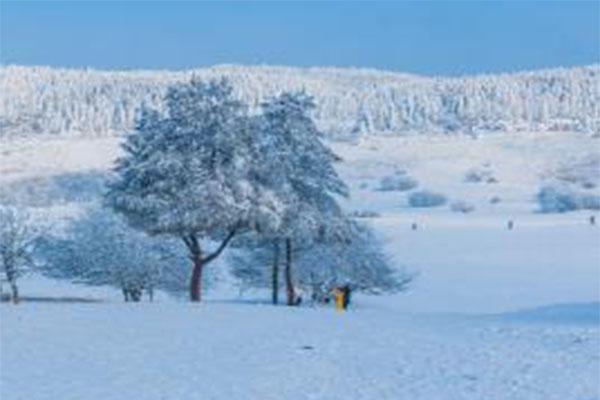 2021重慶仙女山冰雪季-活動時間及活動內容