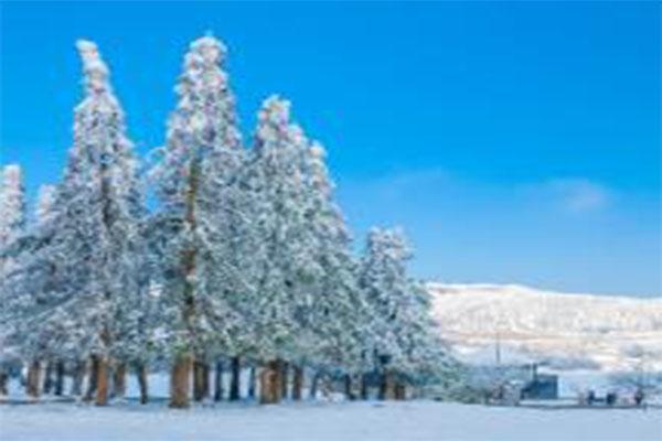 2021重庆仙女山冰雪季-活动时间及活动内容