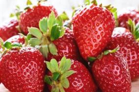 长沙草莓采摘园 草莓基地在哪里2021