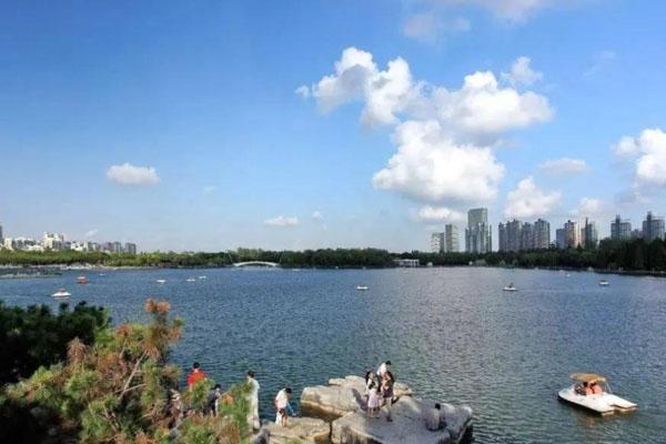 2021年5月1日起上海世纪公园免费开放