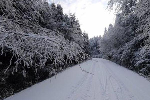 2021重庆武陵山大裂谷赏雪景攻略