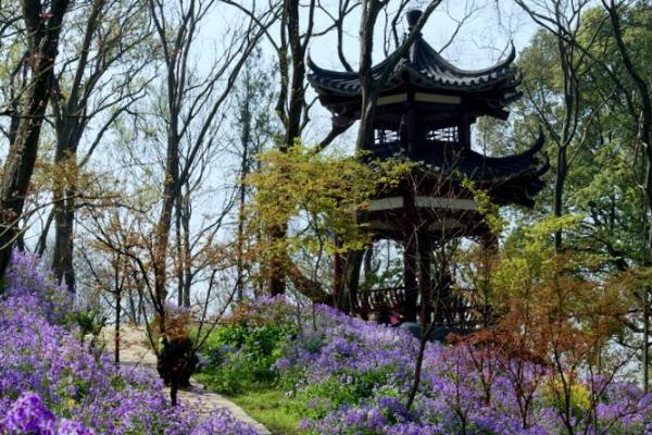 2021南京中山植物园将免费开放25天