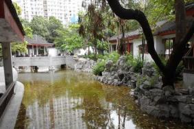 2023香港汉花园旅游攻略 - 门票 - 交通 - 天气