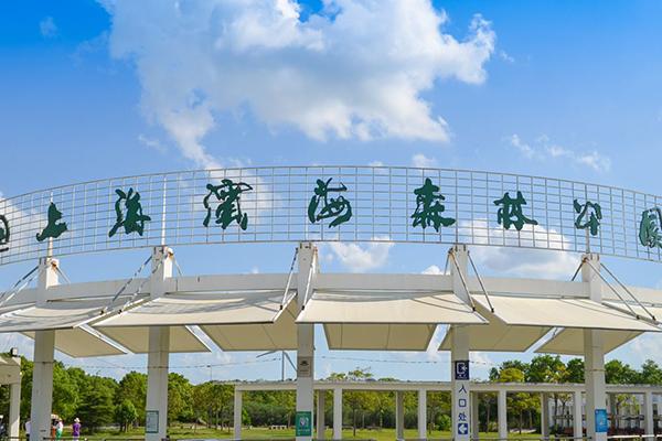 2021上海滨海森林公园2月5日起暂时闭园公告