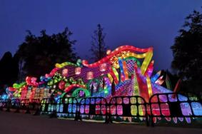 2021南宁青秀山夜游灯展开放时间-夜游地点