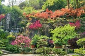 2021重庆植物园门票多少钱一张 重庆南山植物园赏花攻略