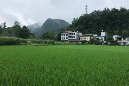 2022宜黄涂家寨旅游攻略 - 门票 - 交通 - 地址