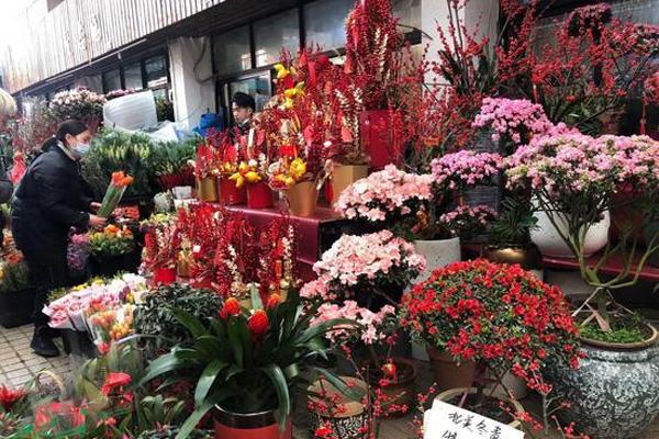 东莞春节买花去哪 东莞花卉市场批发市场在哪里