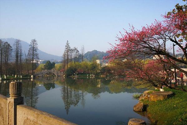 2021杭州超山景区春节活动有哪些 及游玩攻略