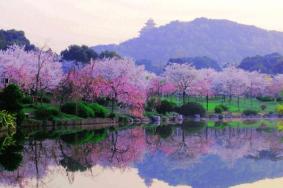 东湖磨山风景区需要预约吗 东湖磨山风景区游玩攻略