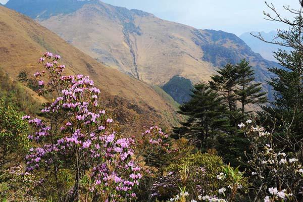 2021昆明轿子雪山景区门票恢复原价-门票优惠政策