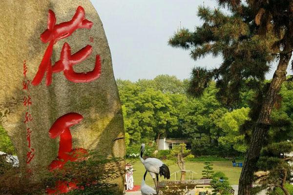 2021武汉东湖牡丹园开放时间 怎么去