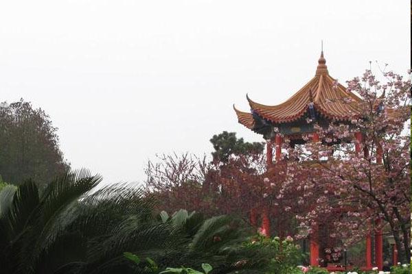 2021武汉东湖牡丹园开放时间 怎么去