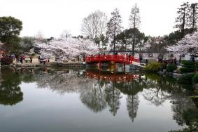 2021武汉东湖樱园什么时候开放