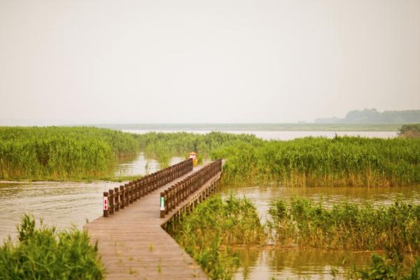 2021上海西沙湿地2月26日起恢复对外开放 上海西沙湿地开放时间