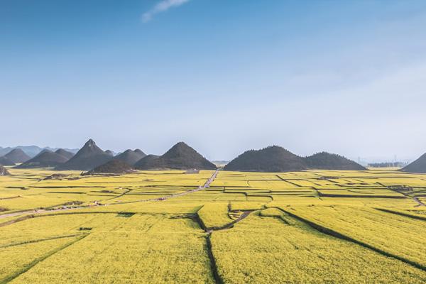 2022昆明周邊油菜花哪里好看