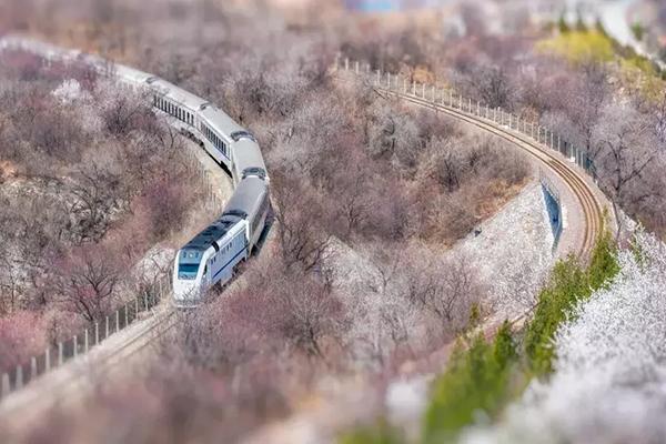 北京最浪漫的樱花列车 北京樱花列车攻略