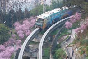 重庆开往春天的列车在哪里 打卡攻略