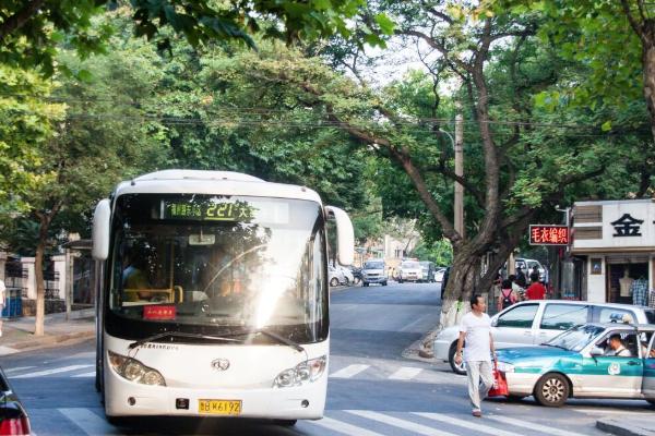 2021青岛公交线路调整信息 青岛限行路段