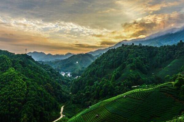 南山茶海旅游風景區(qū)怎么樣 南山茶海門票價格