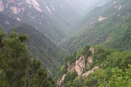 2022河津双峰山旅游攻略 - 门票 - 交通 - 地址