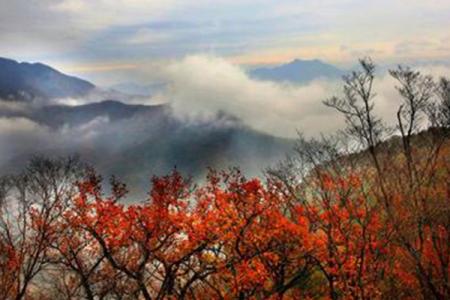 2022运城金楼山旅游攻略 - 门票 - 交通 - 地址