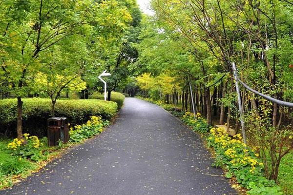 上海顧村公園門票網上怎么預約2021