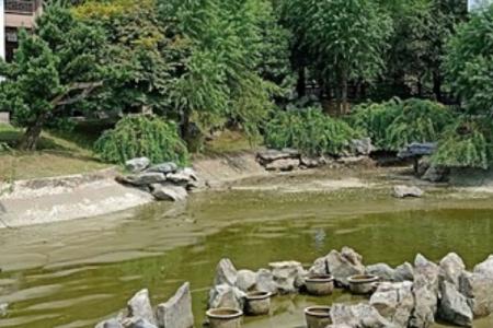 2022长沙橘子洲沙滩游乐园旅游攻略 - 门票价格 - 交通天气
