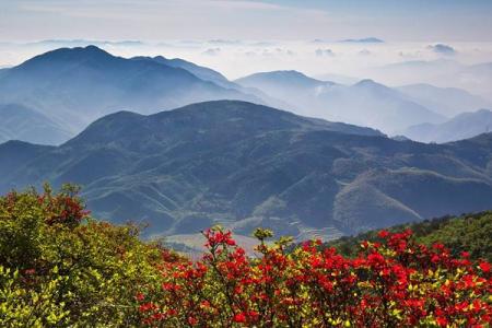 2023遂昌南尖岩旅游攻略 - 门票 - 交通 - 天气