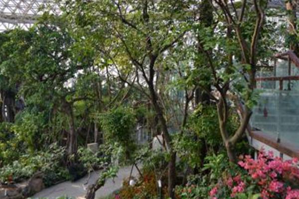 2021青岛世博园植物馆预约购票指南