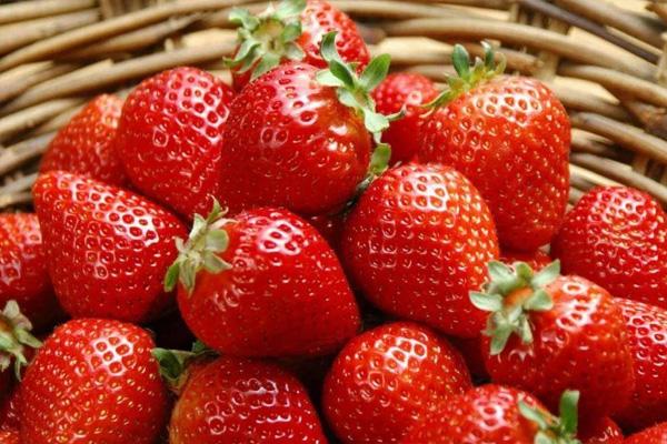 重庆草莓采摘季节是几月份 重庆草莓基地