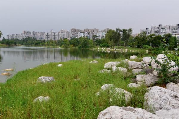 成都錦城公園在哪里 成都錦城公園有什么好玩的