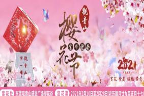 2021东莞观音山樱花文化节举办时间 最佳观赏花期