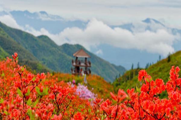 2021瀏陽大圍山婦女節(jié)門票免費(fèi)活動(dòng)-瀏陽大圍山簡介